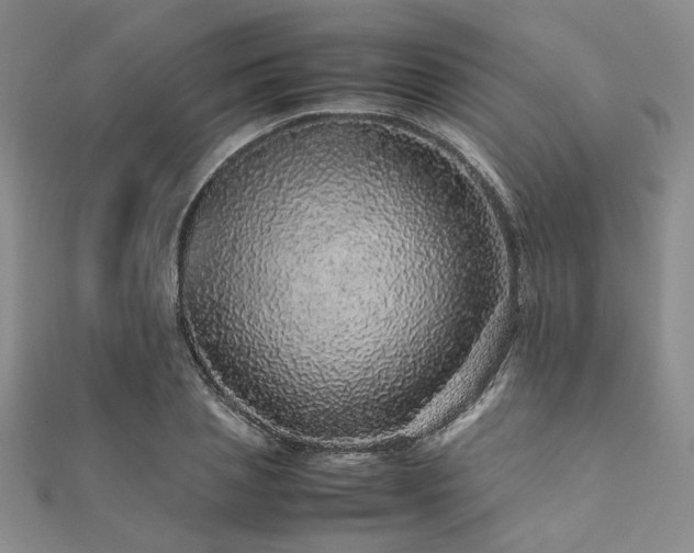 X0000112110837200908041539