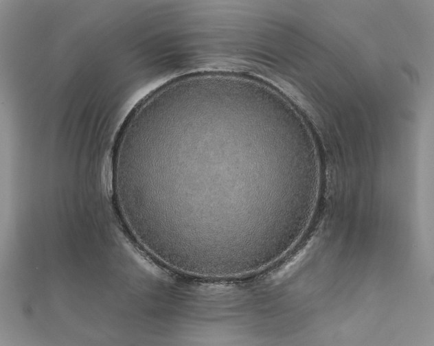 X0000112110838200908041539