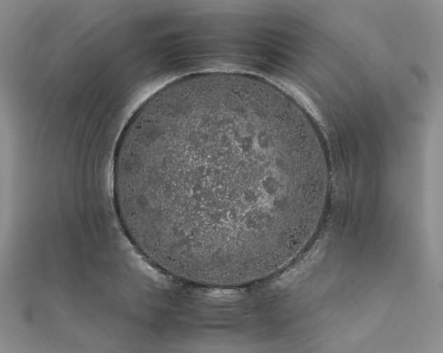 X0000112110839200908041539