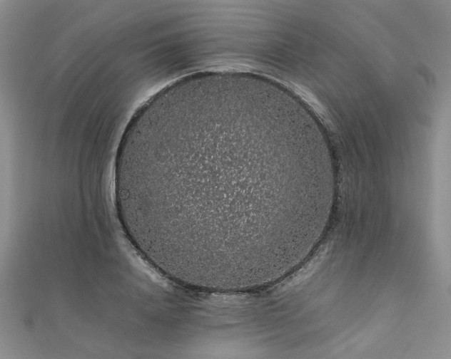 X0000112110840200908041539