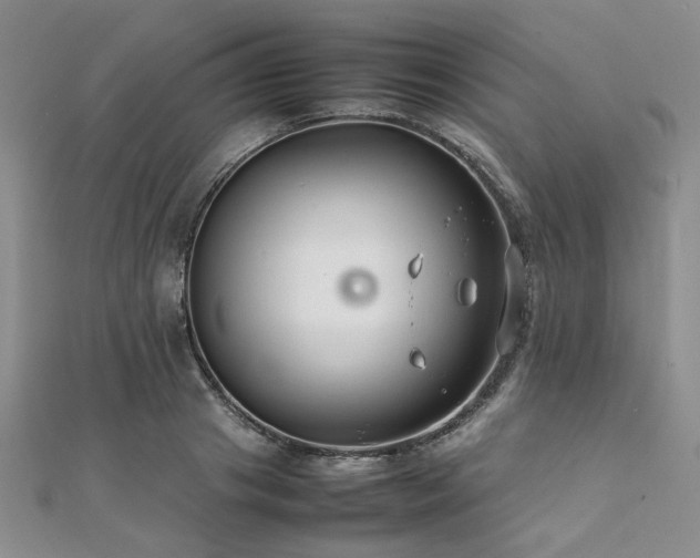 X0000112110841200908041539