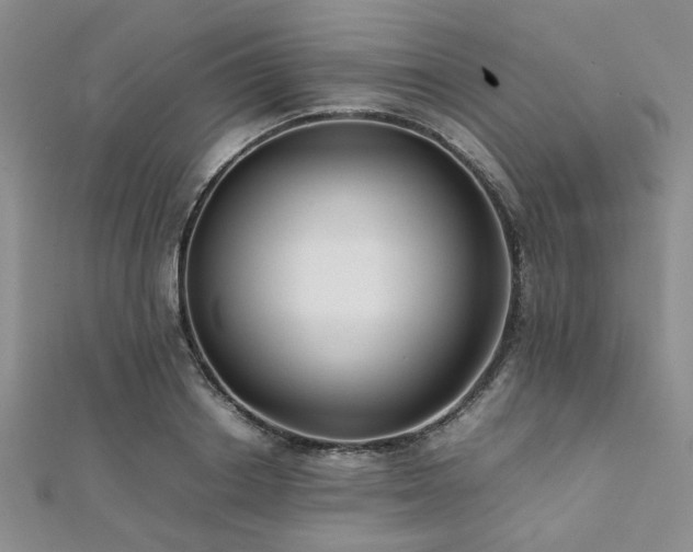 X0000112110842200908041539