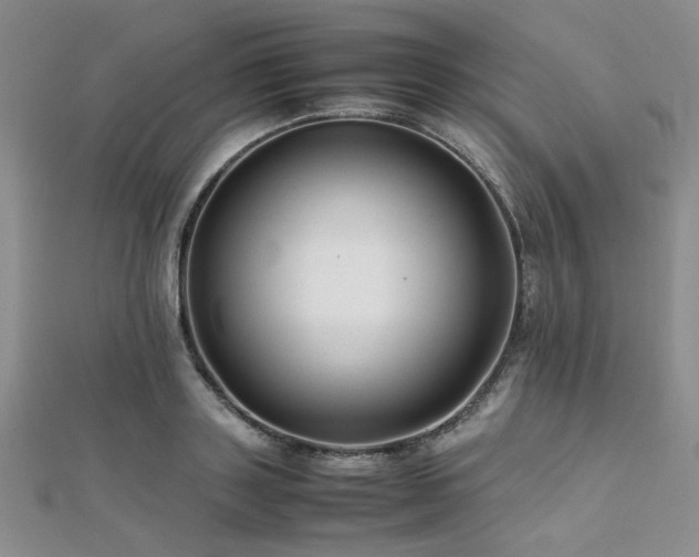 X0000112110843200908041539