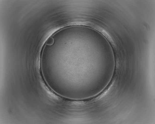 X0000112110844200908041539