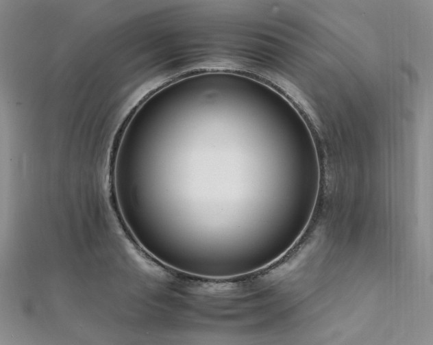 X0000112110845200908041539