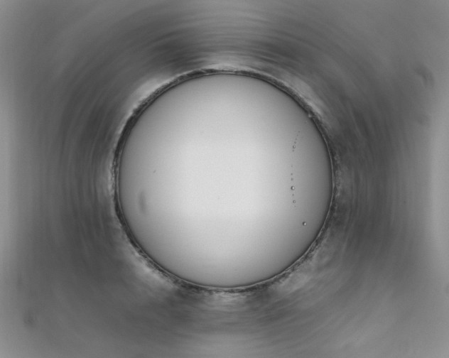 X0000112110848200908041539