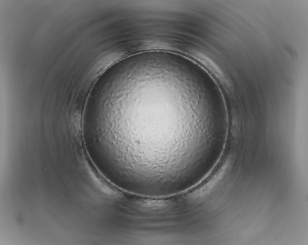 X0000112110849200908041539