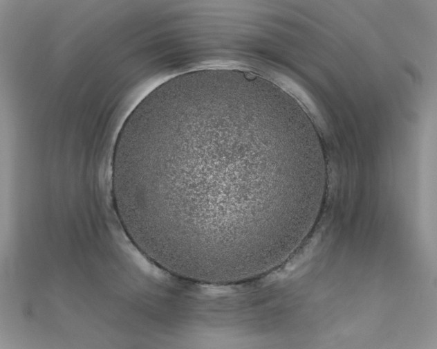 X0000112110852200908041539