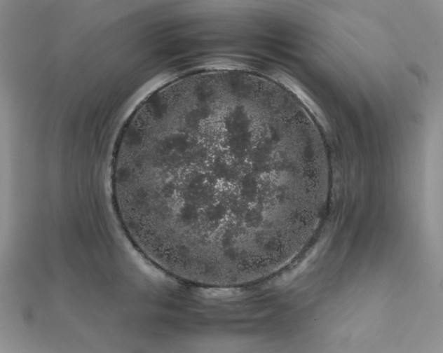 X0000112110853200908041539