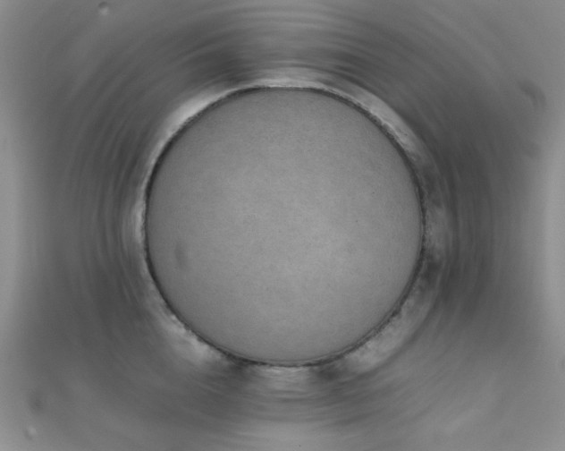 X0000112110856200908041540