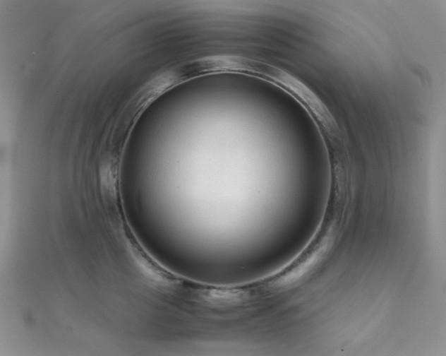 X0000112110857200908041540