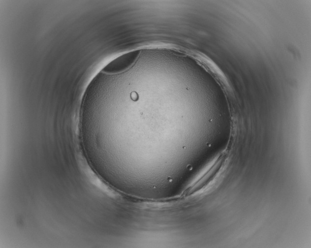 X0000112110860200908041540