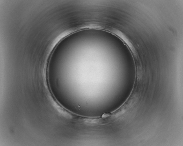 X0000112110861200908041540