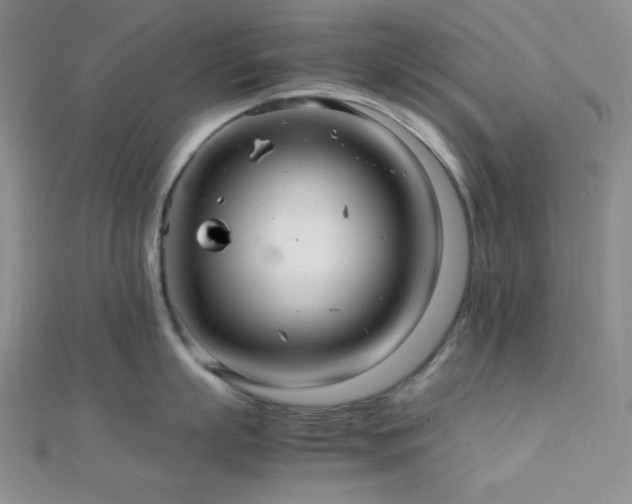 X0000112110863200908041540