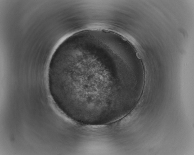 X0000112110864200908041540