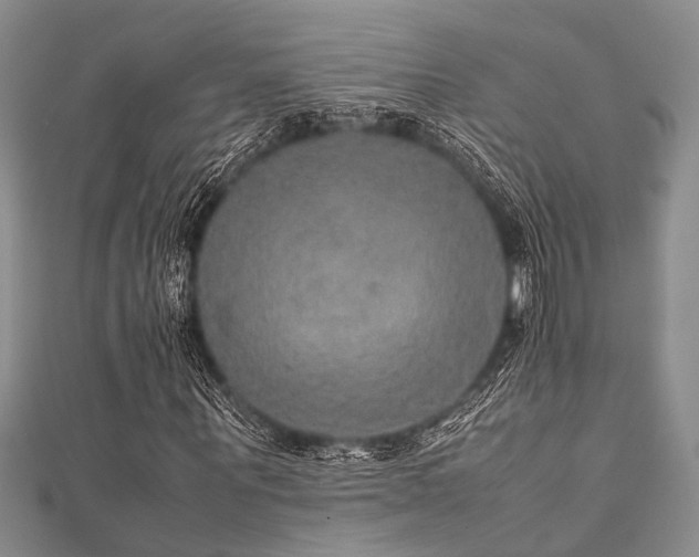 X0000112110867200908041539