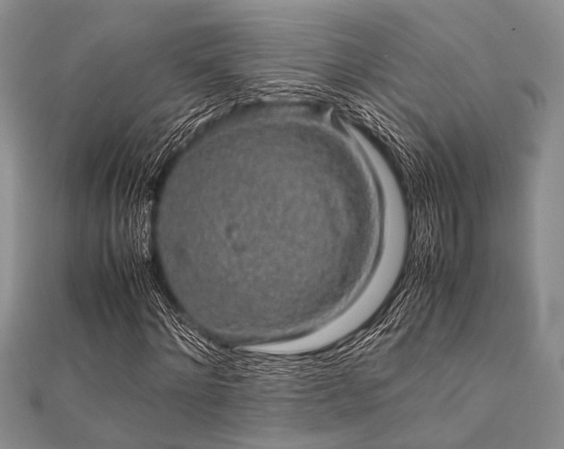 X0000112110868200908041539