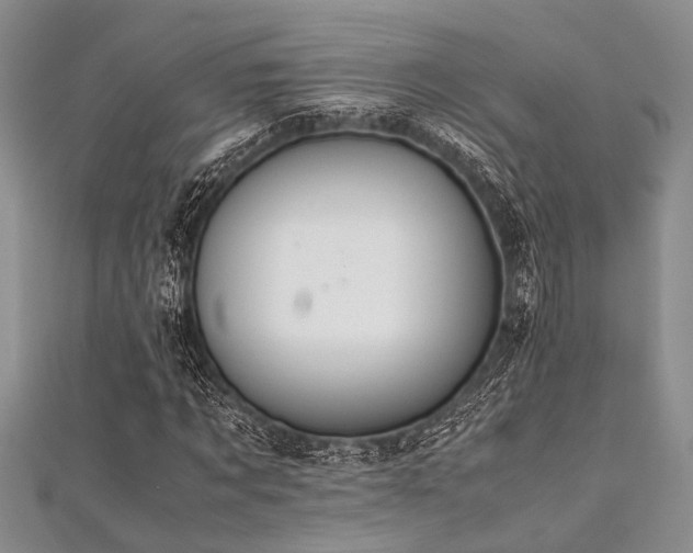 X0000112110869200908041539