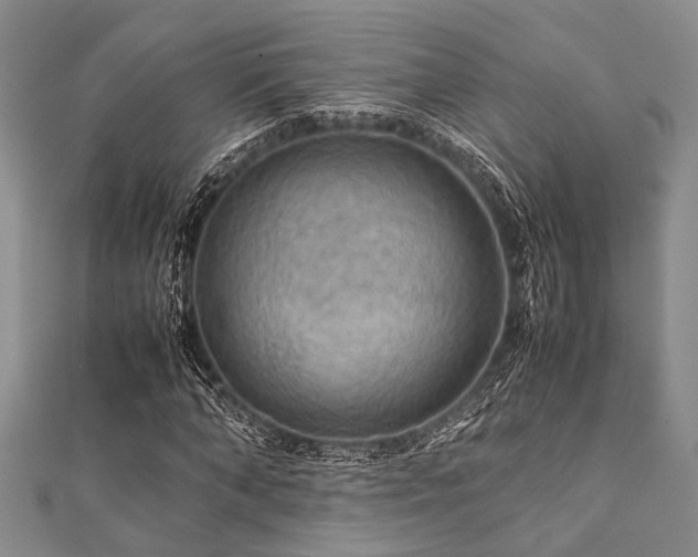 X0000112110870200908041539