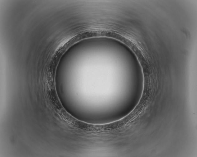 X0000112110871200908041539