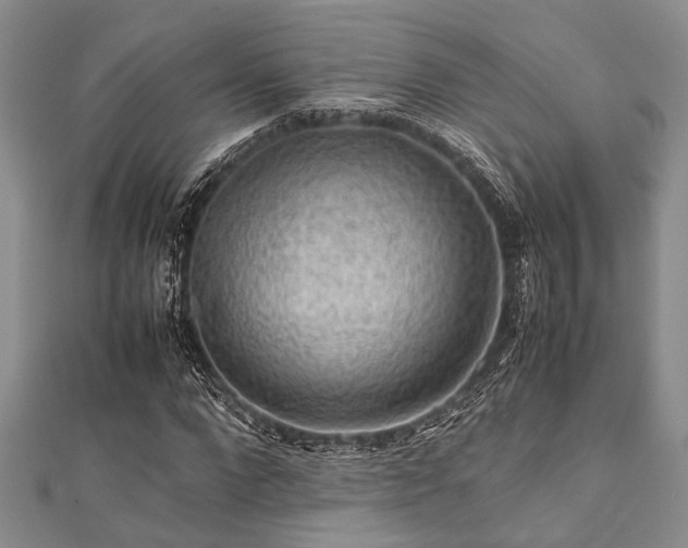 X0000112110872200908041539