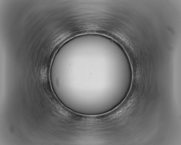 X0000112110873200908041539