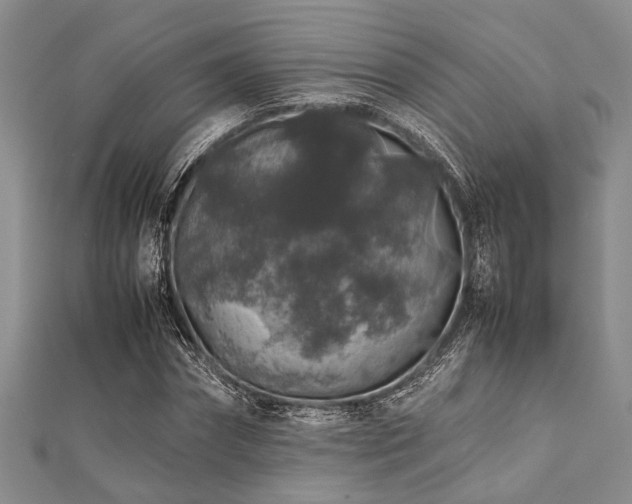 X0000112110874200908041539