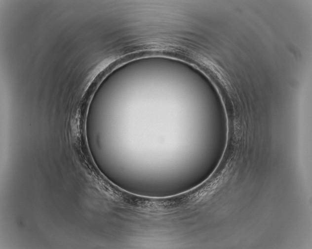 X0000112110875200908041539