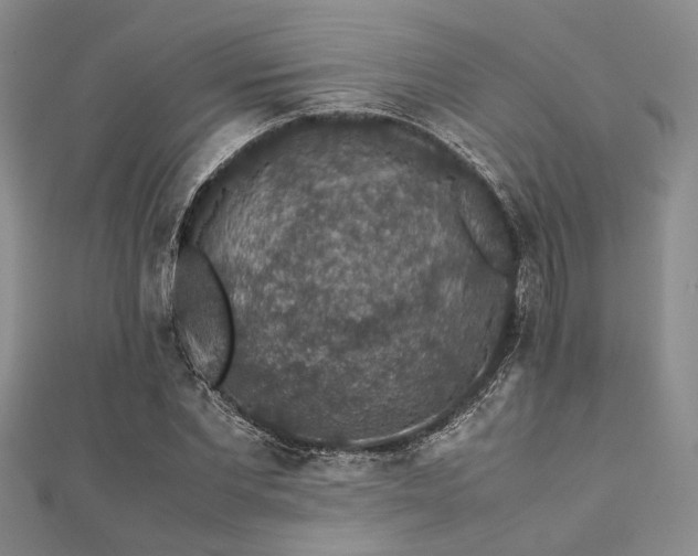 X0000112110877200908041539