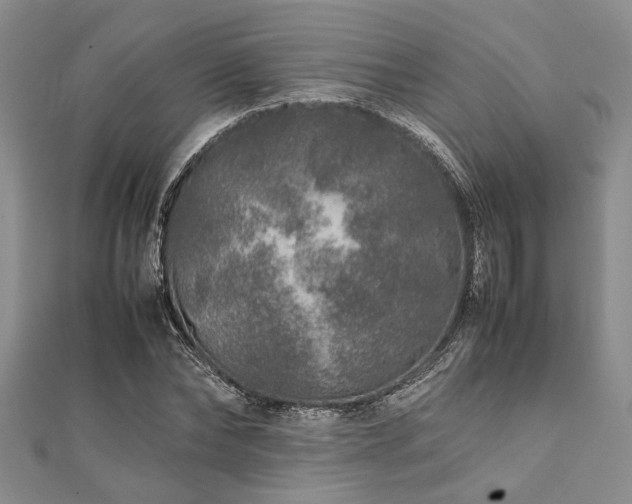 X0000112110878200908041539