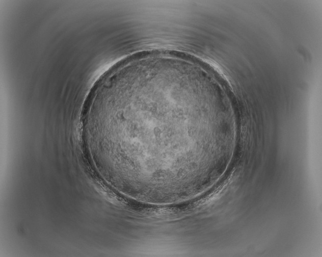 X0000112110879200908041539