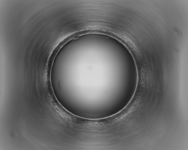 X0000112110880200908041539