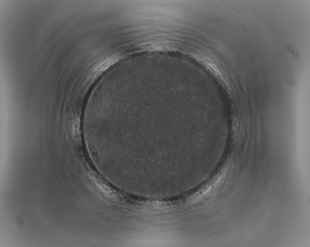 X0000112110881200908041539