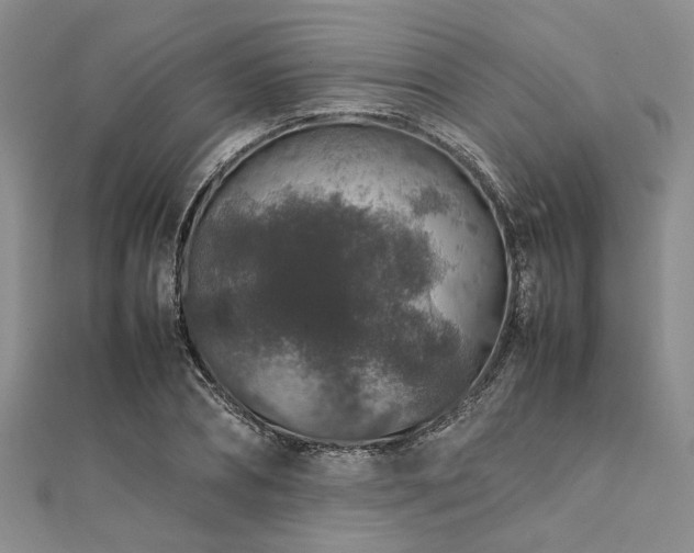 X0000112110882200908041539