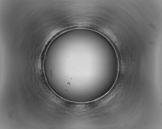 X0000112110883200908041539