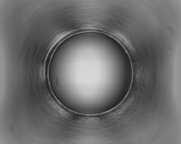 X0000112110884200908041539