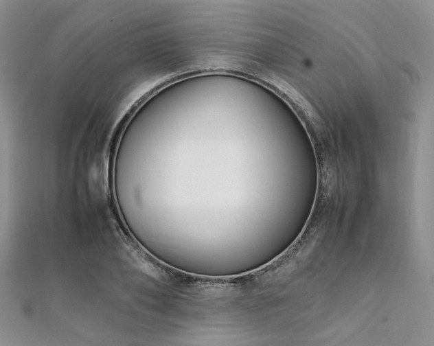 X0000112110886200908041539