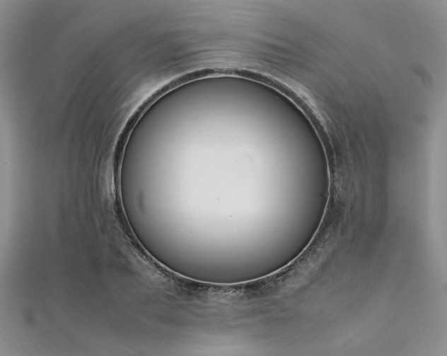 X0000112110887200908041539