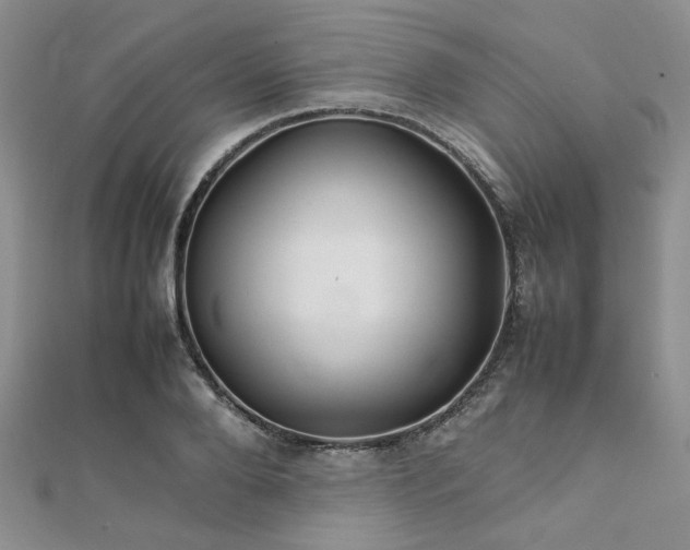 X0000112110888200908041539