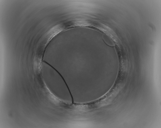 X0000112110889200908041539