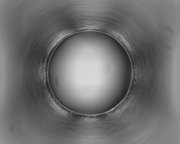 X0000112110890200908041539