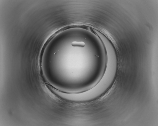 X0000112110892200908041539