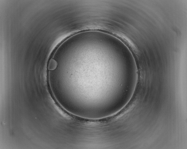 X0000112110894200908041539