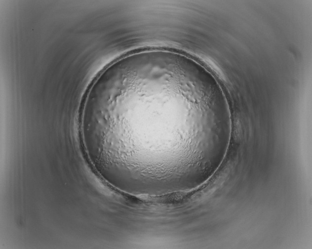 X0000112110895200908041539