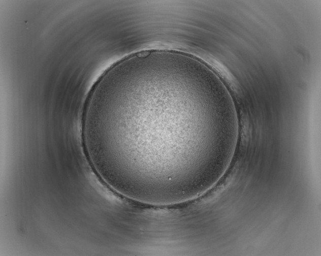 X0000112110896200908041539