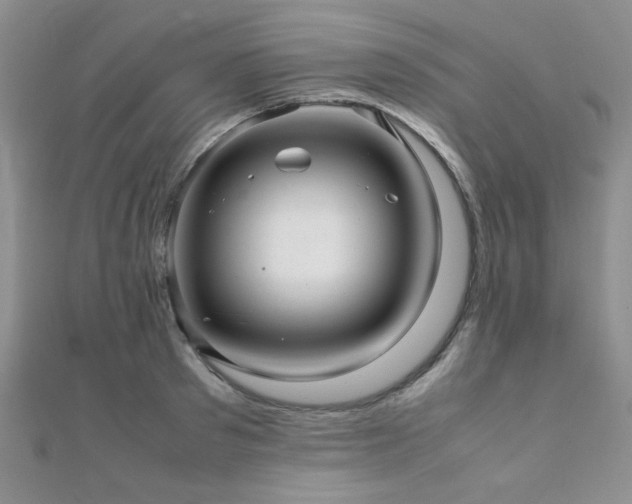 X0000112110897200908041539