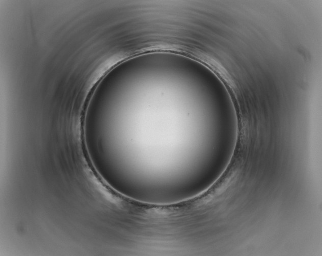 X0000112110898200908041539