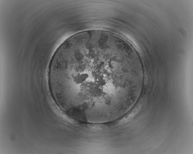 X0000112110899200908041539