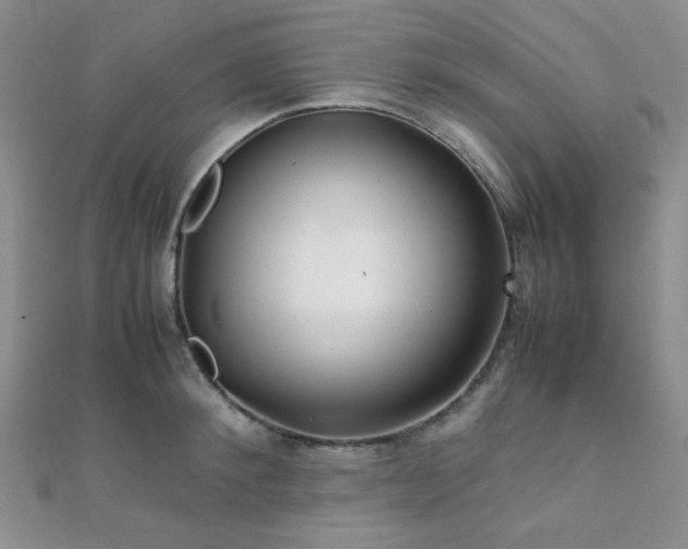 X0000112110900200908041539