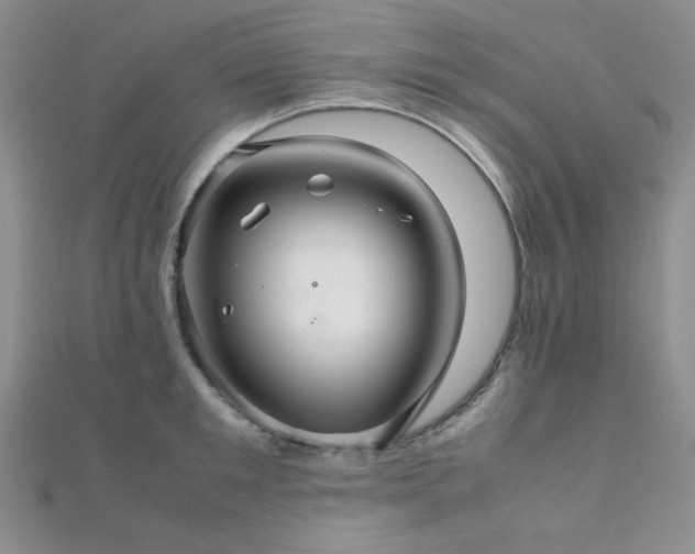 X0000112110901200908041539